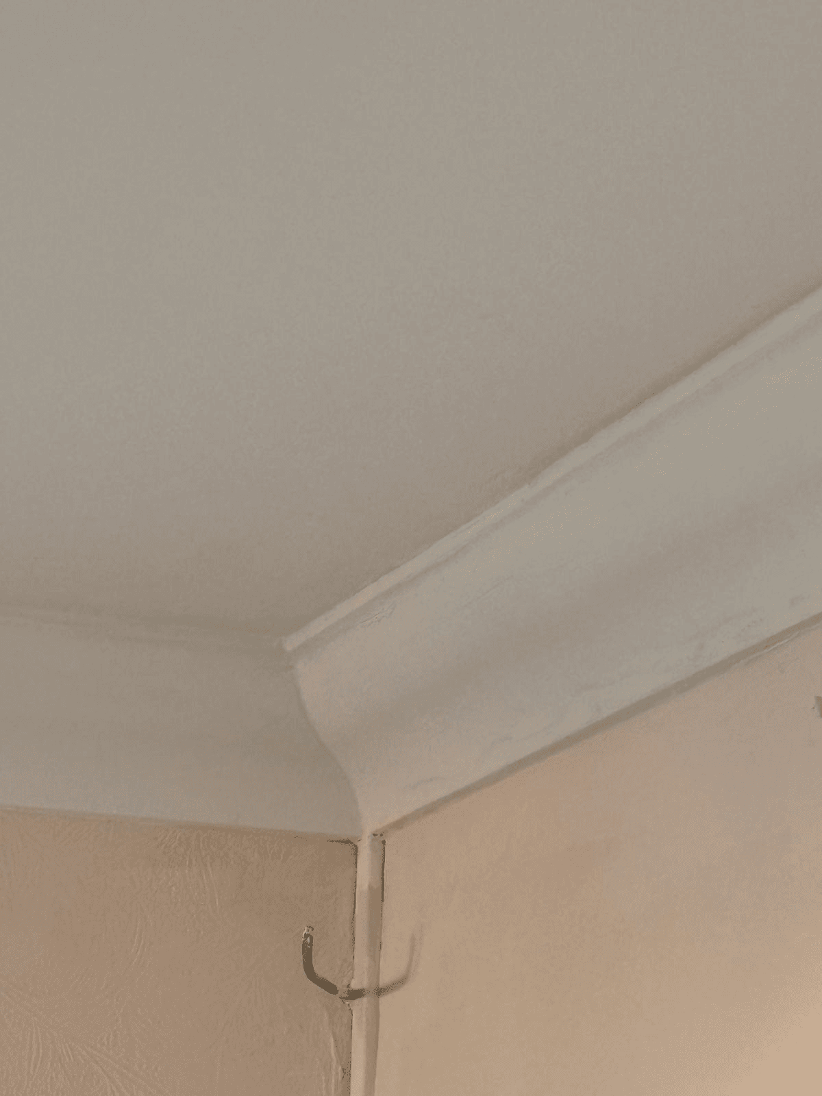 Clean plasterwork with newly fitted coving in corner detail
